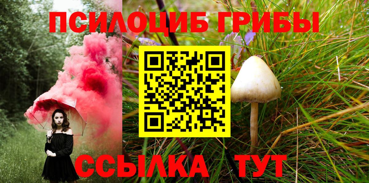Галлюциногенные грибы Magic Shrooms  Галлюциногенные грибы MAGIC MUSHROOMS  Моршанск  Вход с VPN 